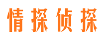 平舆外遇出轨调查取证